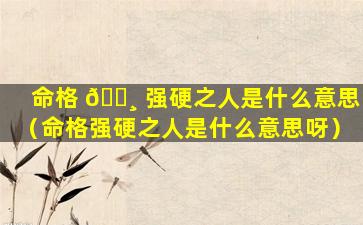 命格 🕸 强硬之人是什么意思（命格强硬之人是什么意思呀）